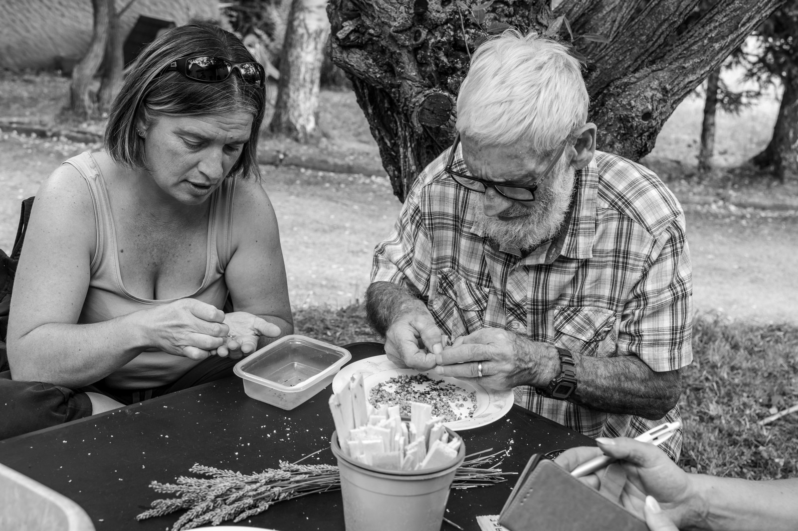 Le Noyer, village champsaurin