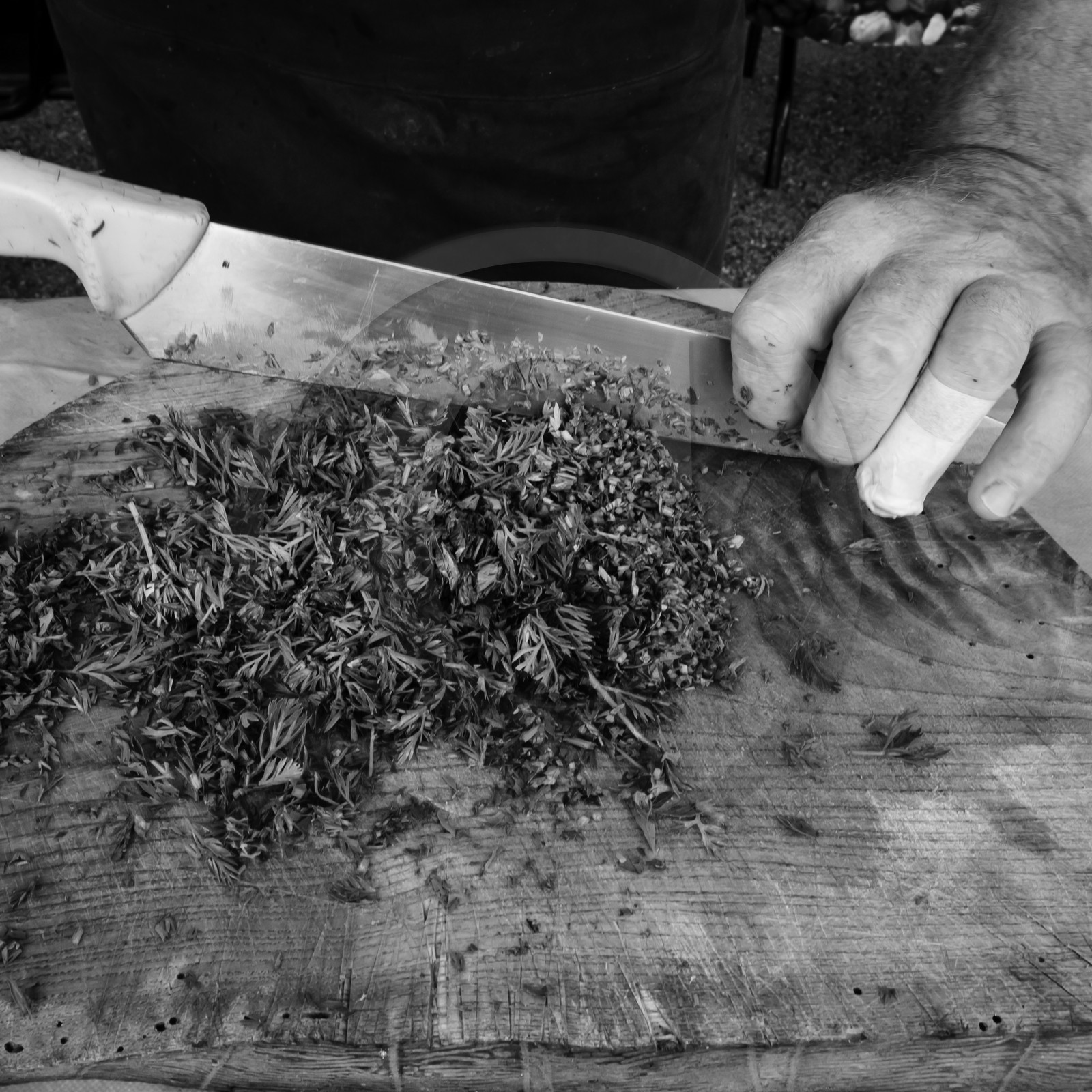 Pascal Daumaus, cuisinier et éducateur de goût Pascal Daumaus, cuisinier et éducateur de goût