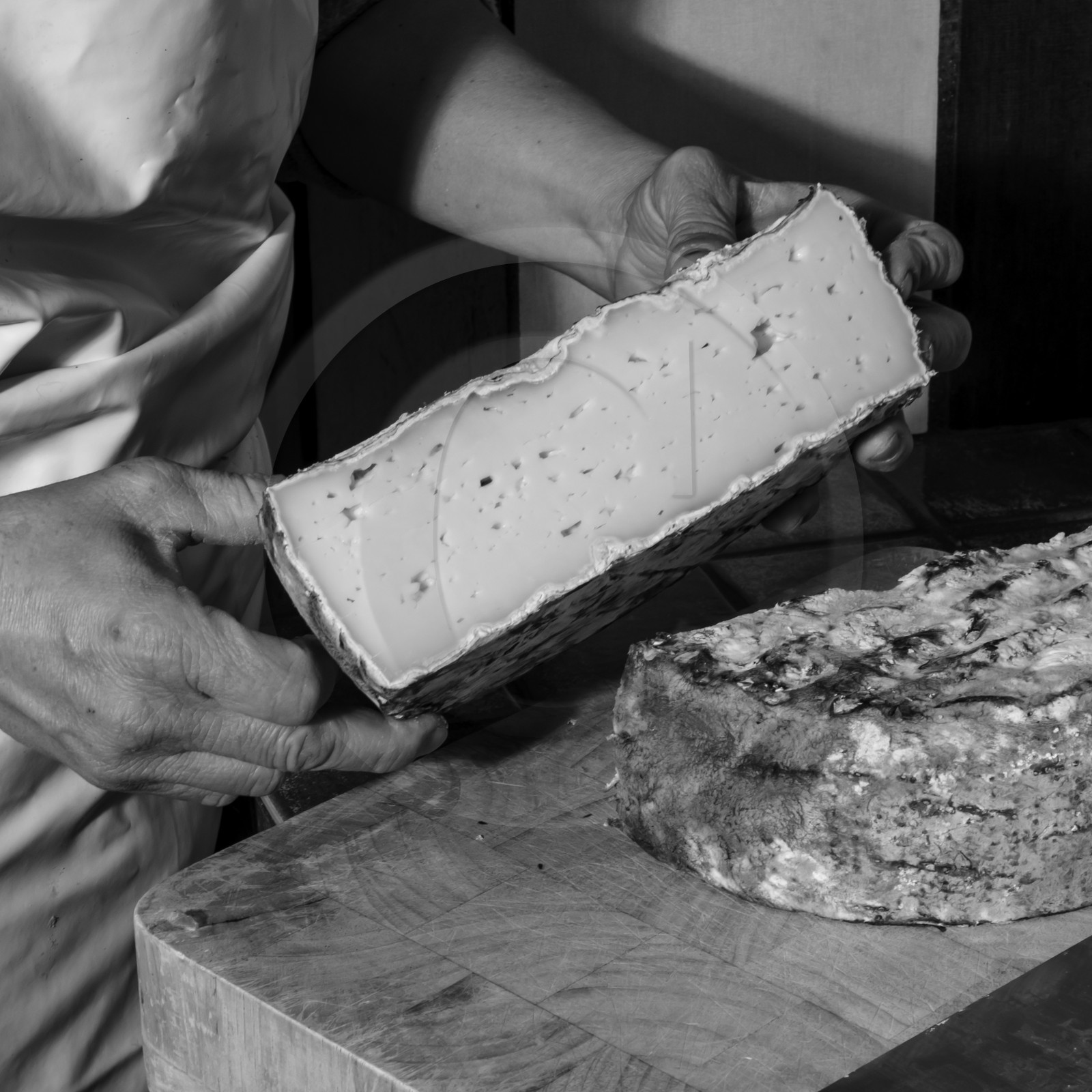 Le GAEC des Counières