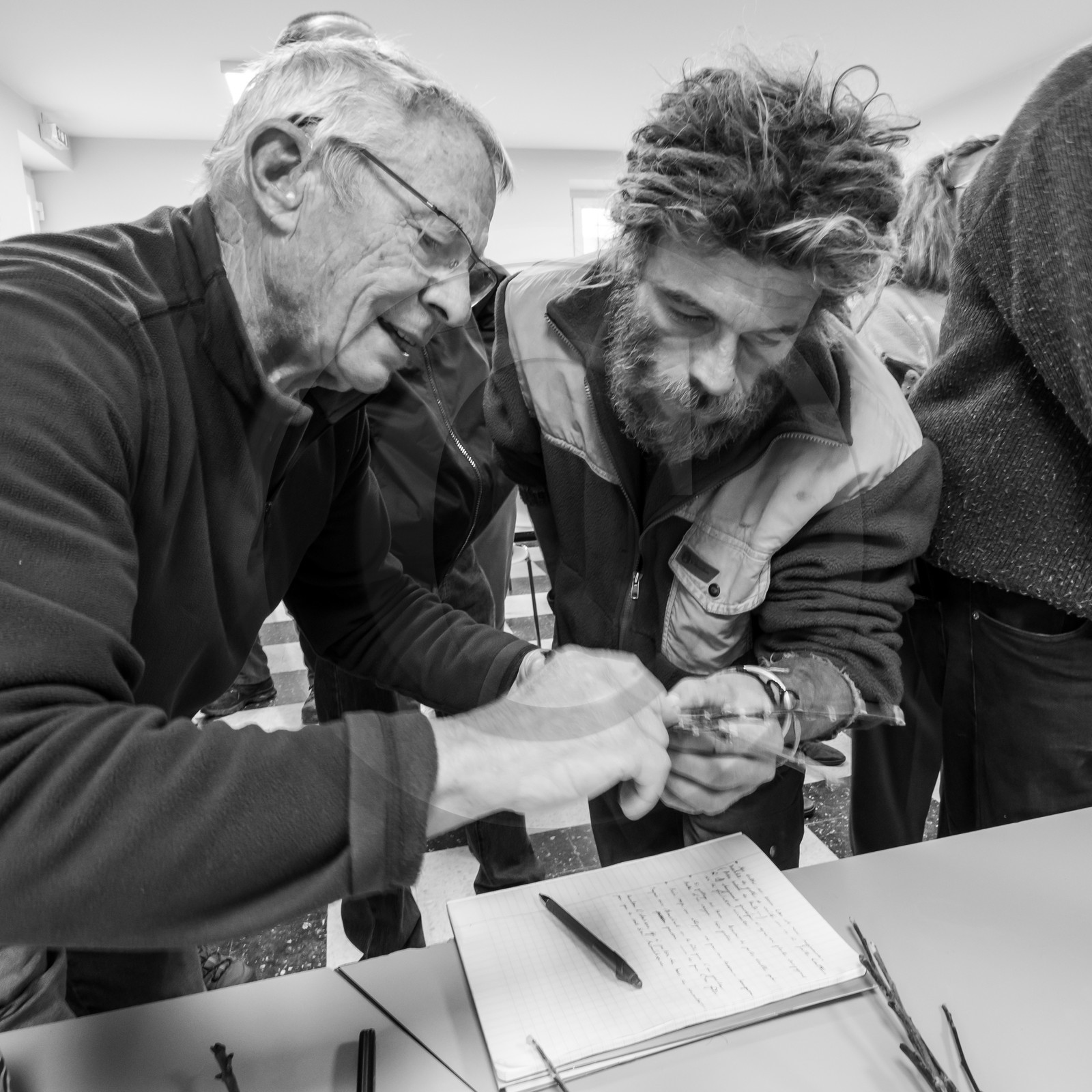 03 avril 2019 : Initiation à la greffe d'arbres fruitiers