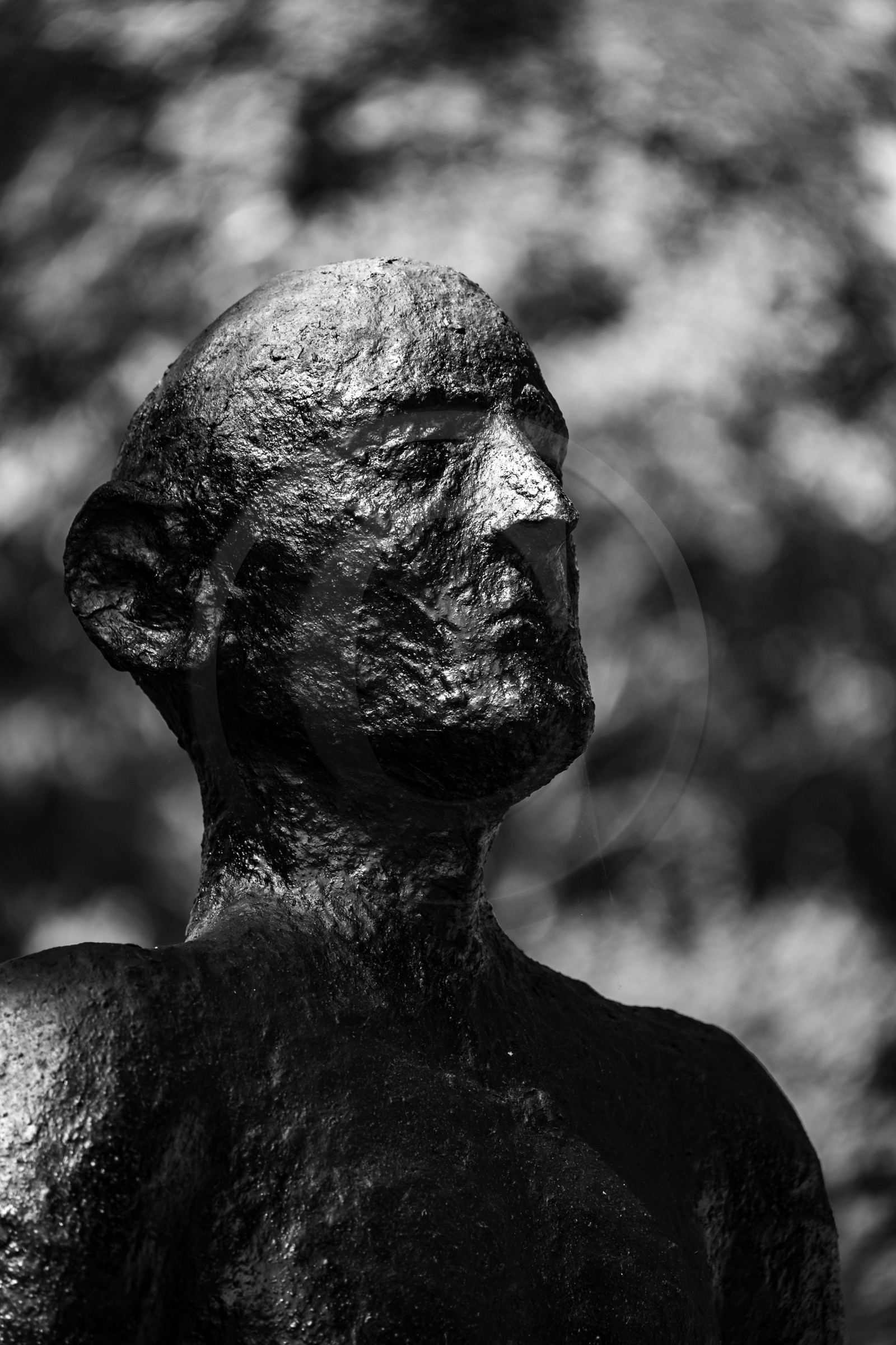 Exposition La forêt d'hommes, une création de Barbara Fougnon, artiste plasticienne