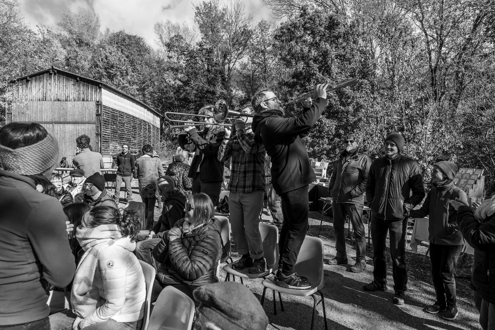 26 octobre 2025 : Les oiseaux de trottoir