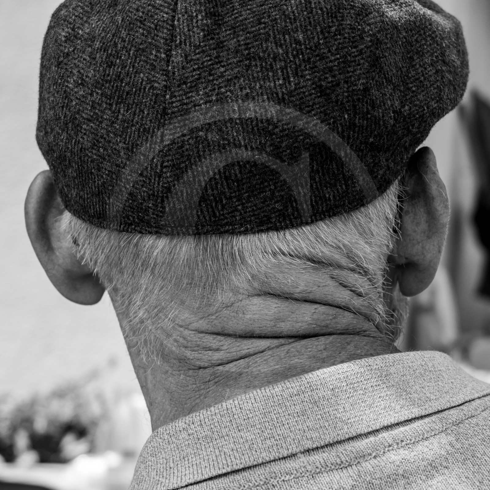 21 juin 2017 - Installation des épouvantails