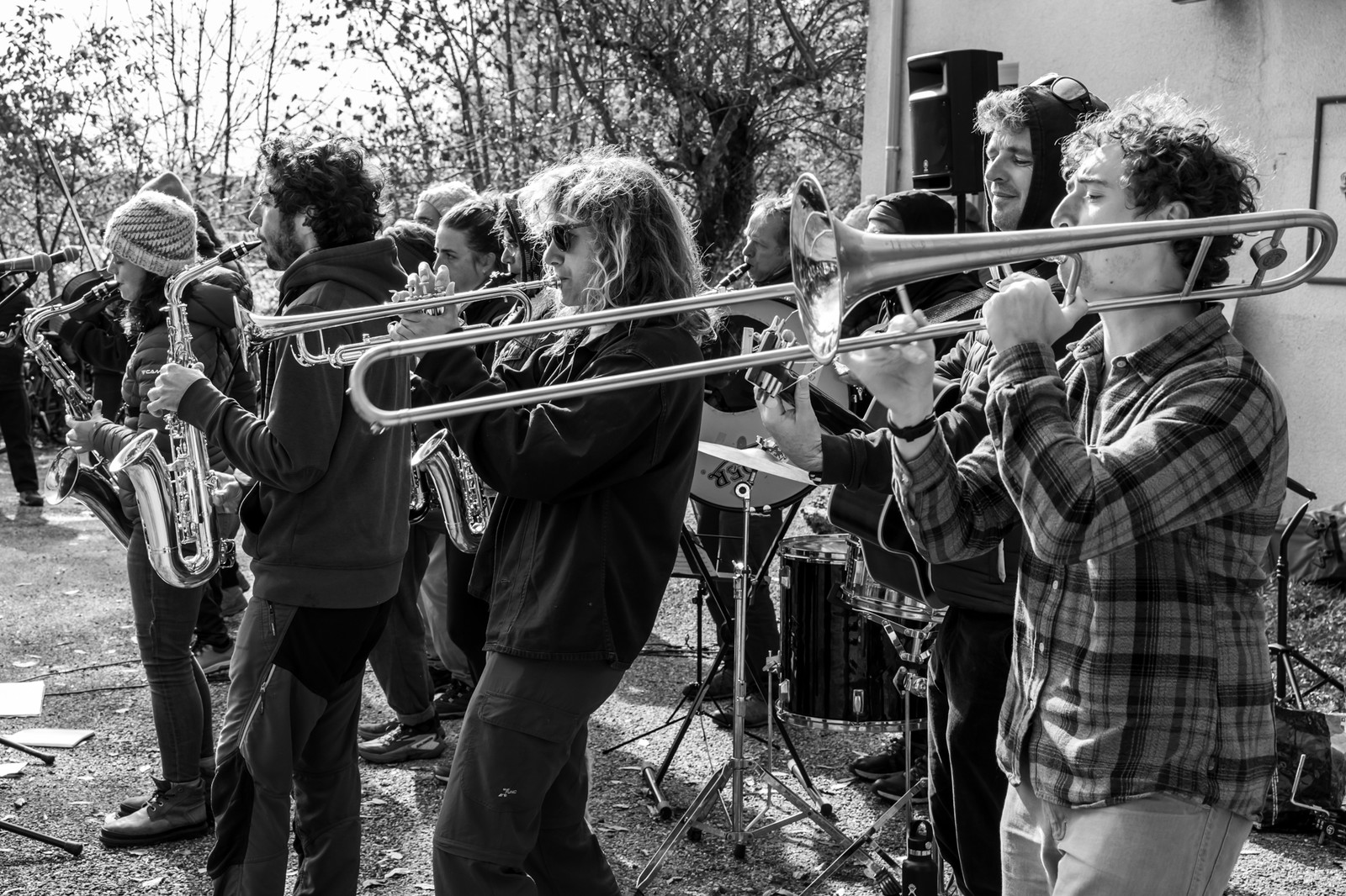 26 octobre 2025 : Les oiseaux de trottoir