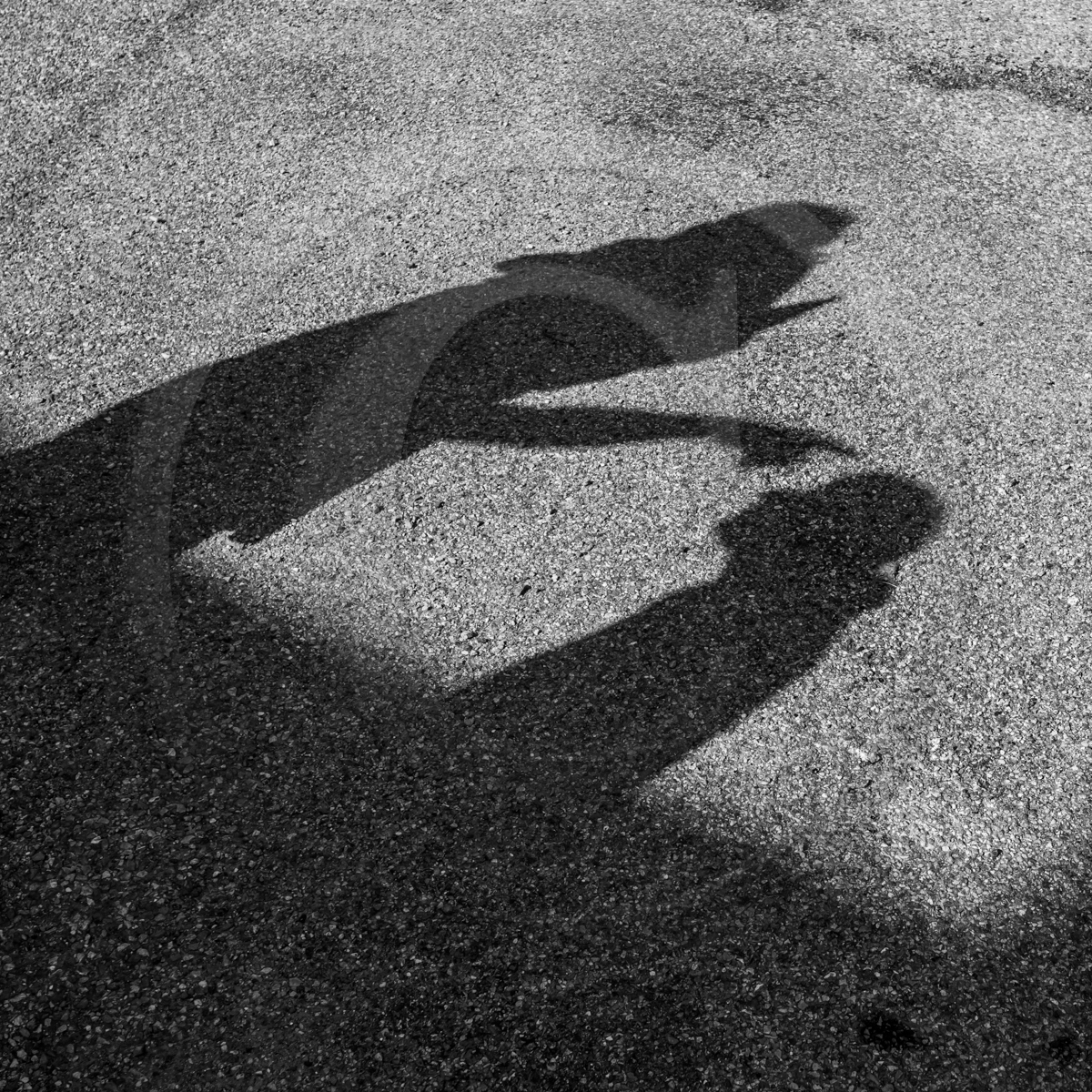 11 mai 2022 : des contes, du jardinage, du plaisir... 11 mai 2022 : des contes, du jardinage, du plaisir...