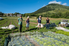 Légumontagne : maraichage biologique à Ancelle
