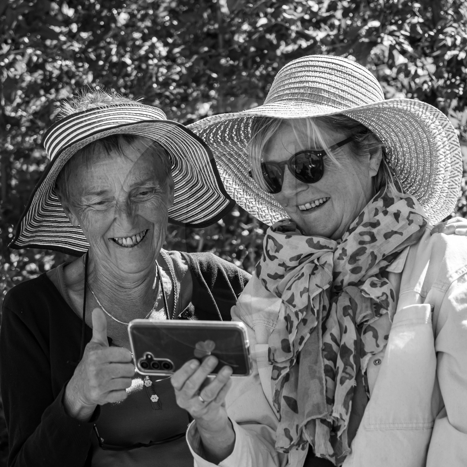 07 août 2023 : Journée des aidants 07 août 2023 : Journée des aidants