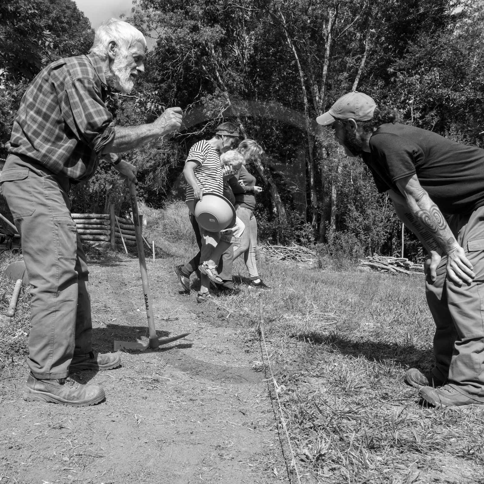 13 septembre 2017 - Chemins - Graines