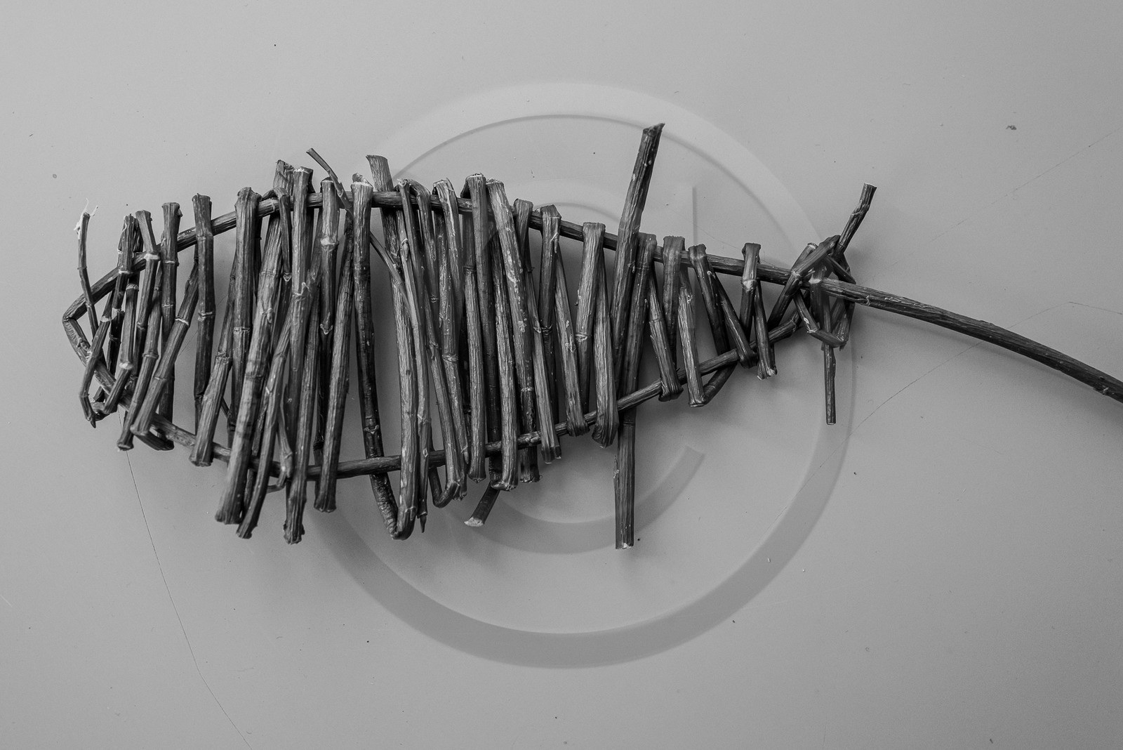 10 avril 2024 : Osier, laine et taille