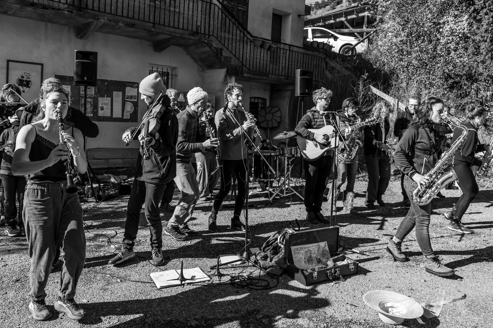 26 octobre 2025 : Les oiseaux de trottoir