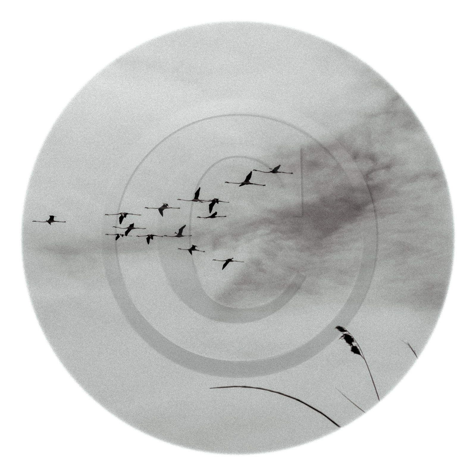 Les instants Camargue