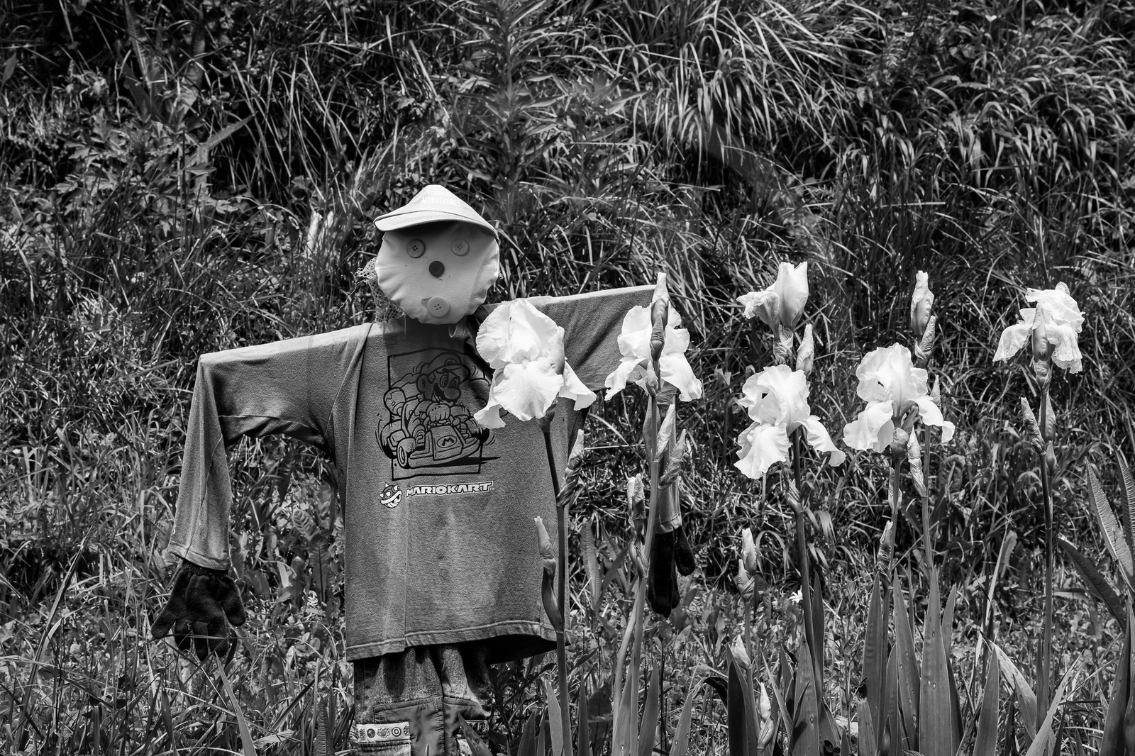 05 juin 2023 : journée des aidants et des aidés