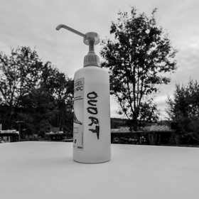 Semis, tournesols et jeux