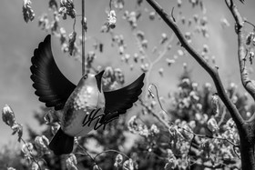 27 juin 2025 : Journée des aidants