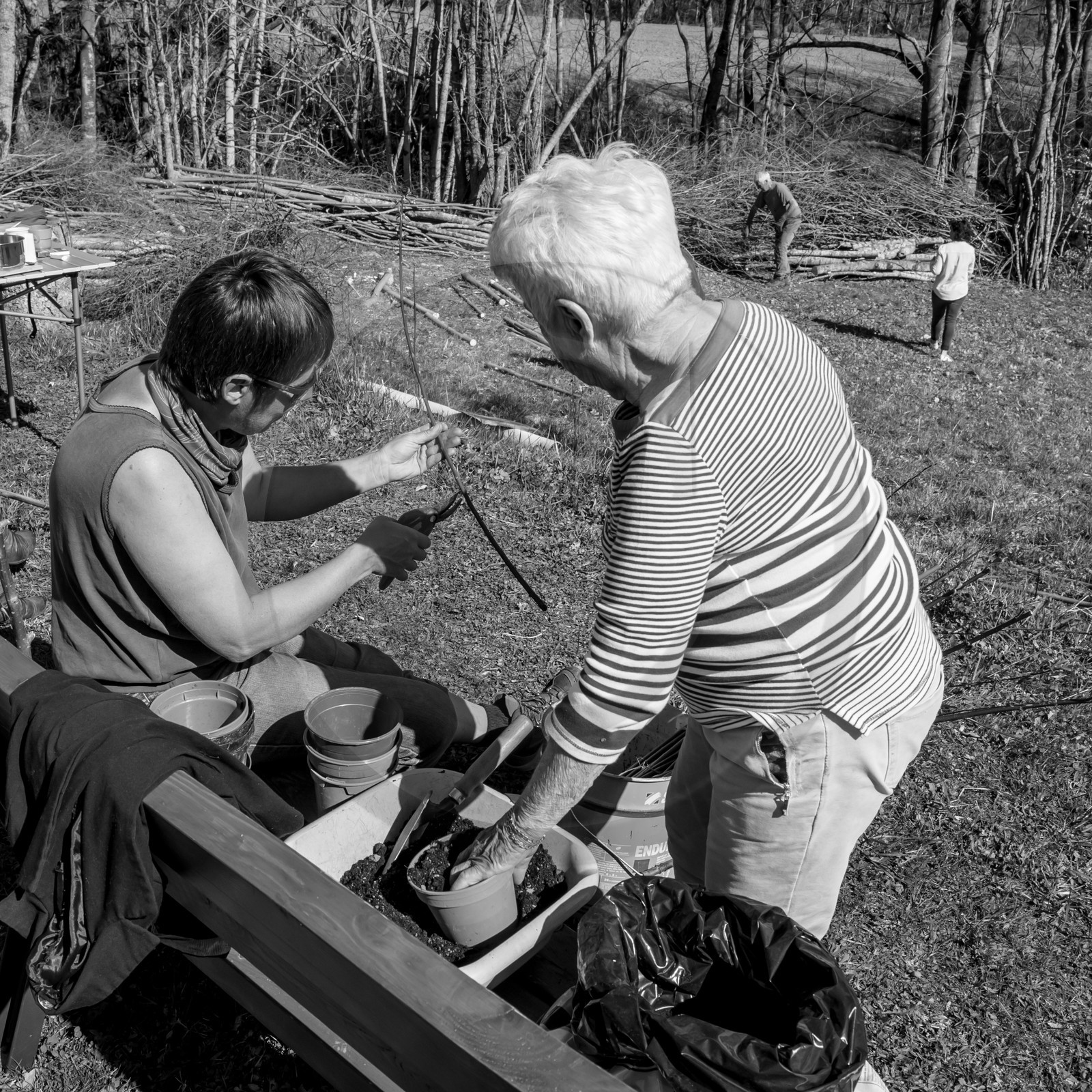 Nettoyage du terrain - Coupe du bois - 29 03 17