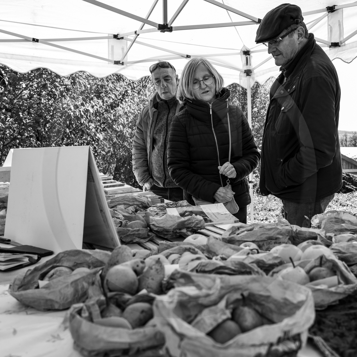 05 novembre 2022 : des pommes et des soupes