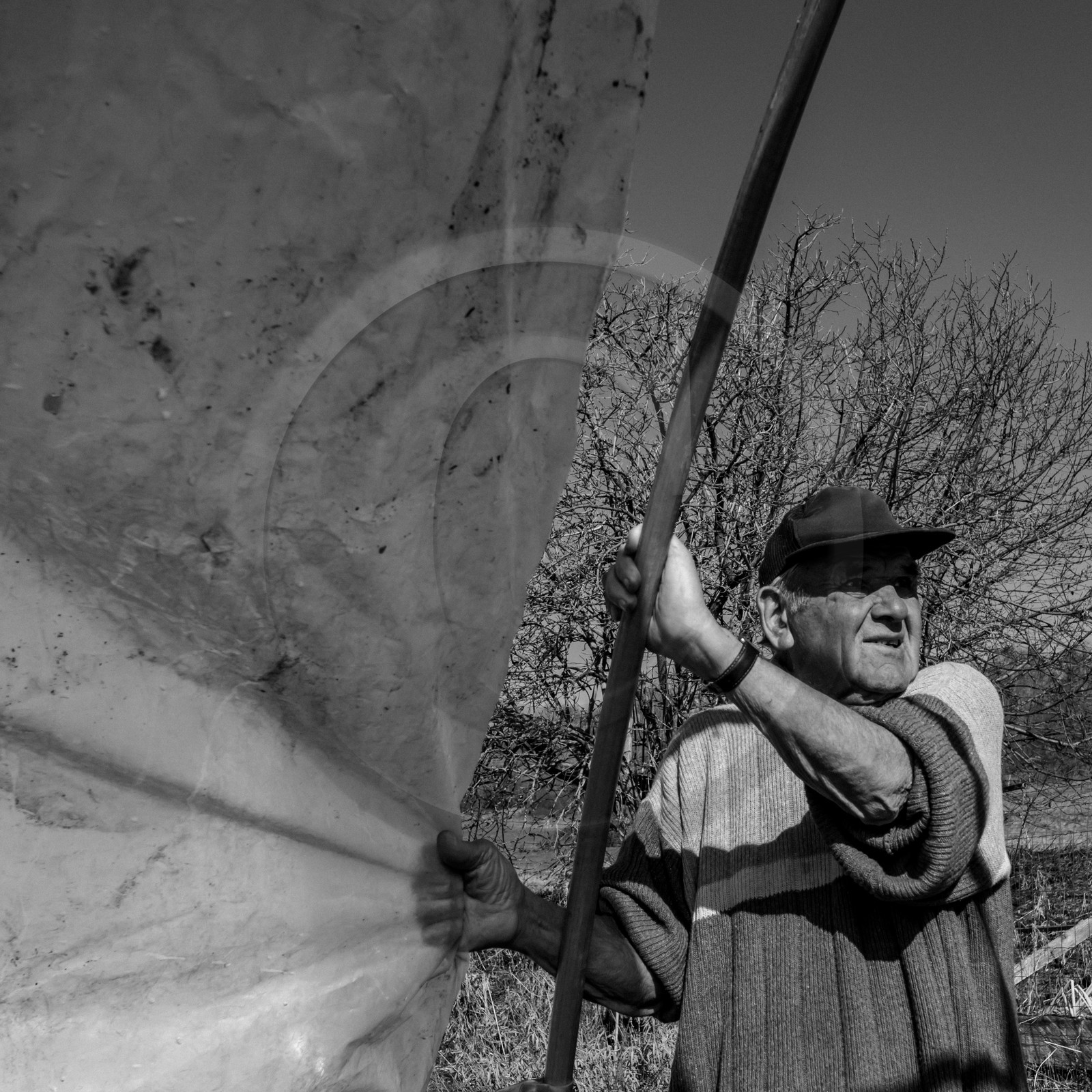 Montage de serres tunnel Montage de serres tunnel