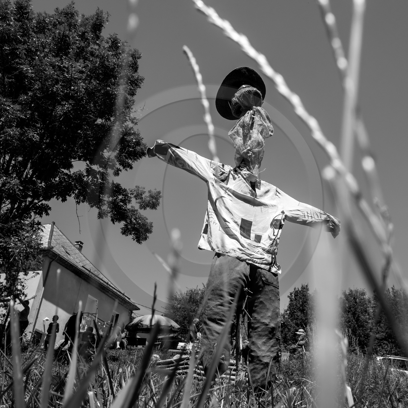 05 juillet 2017 - Installation épouvantails 05 juillet 2017 - Installation épouvantails