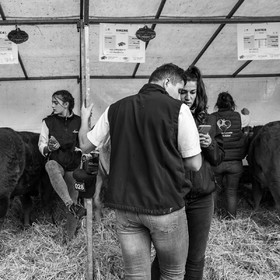 Rencontres paysannes à Saint-Bonnet en Champsaur