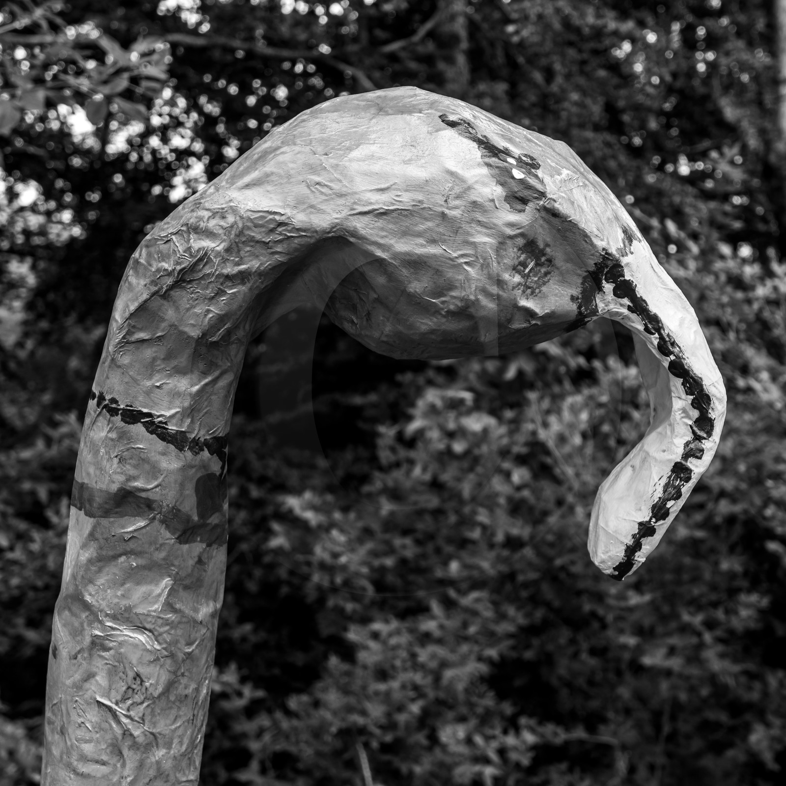 Exposition Alice