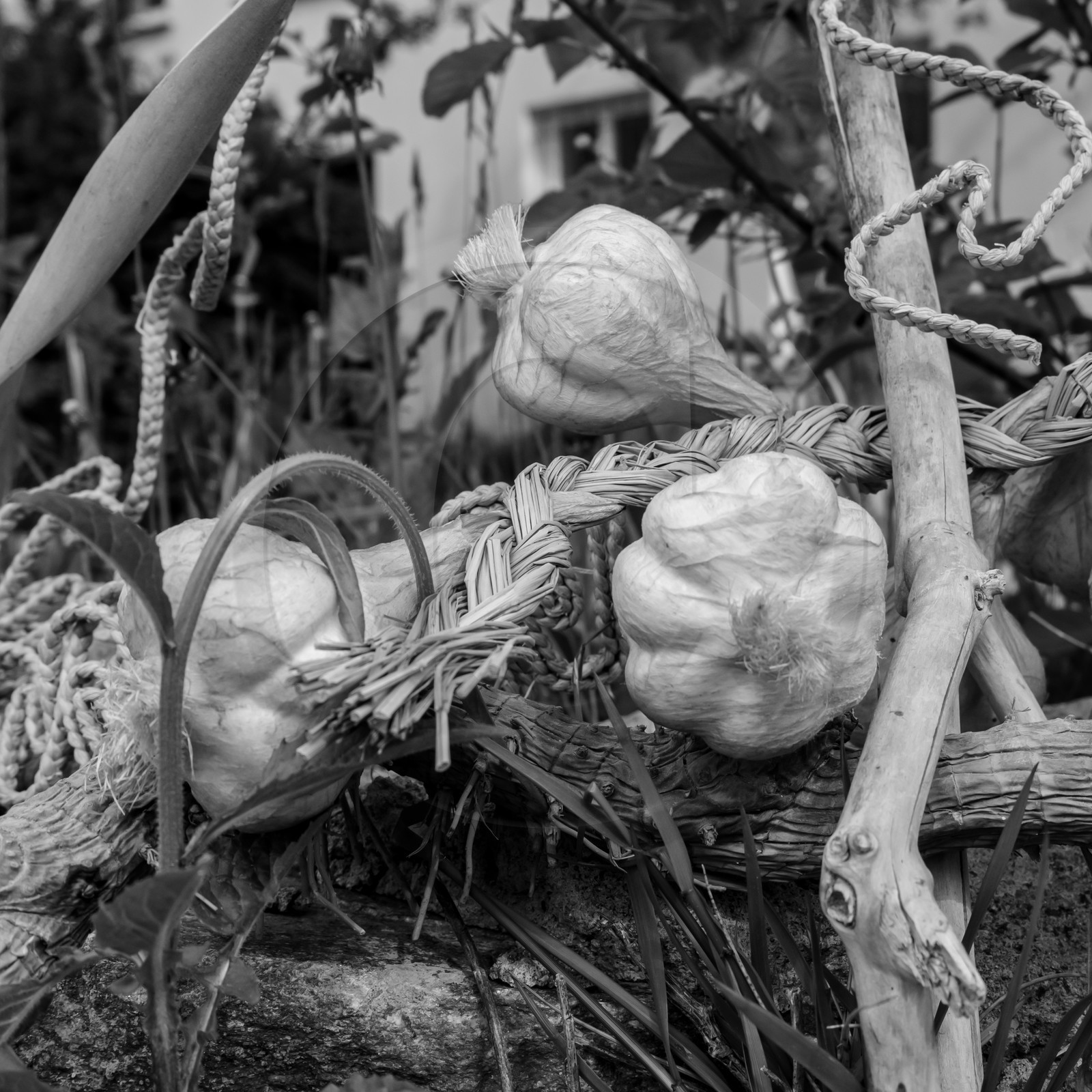 25 mai 2019 : Vide-Jardin de l'Ouort de Benevènt 25 mai 2019 : Vide-Jardin de l'Ouort de Benevènt