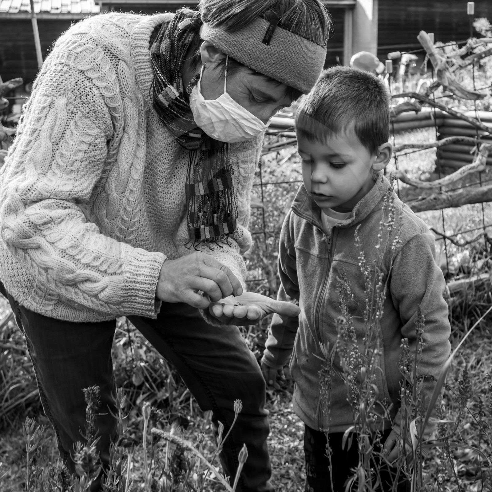 Semis, tournesols et jeux Semis, tournesols et jeux