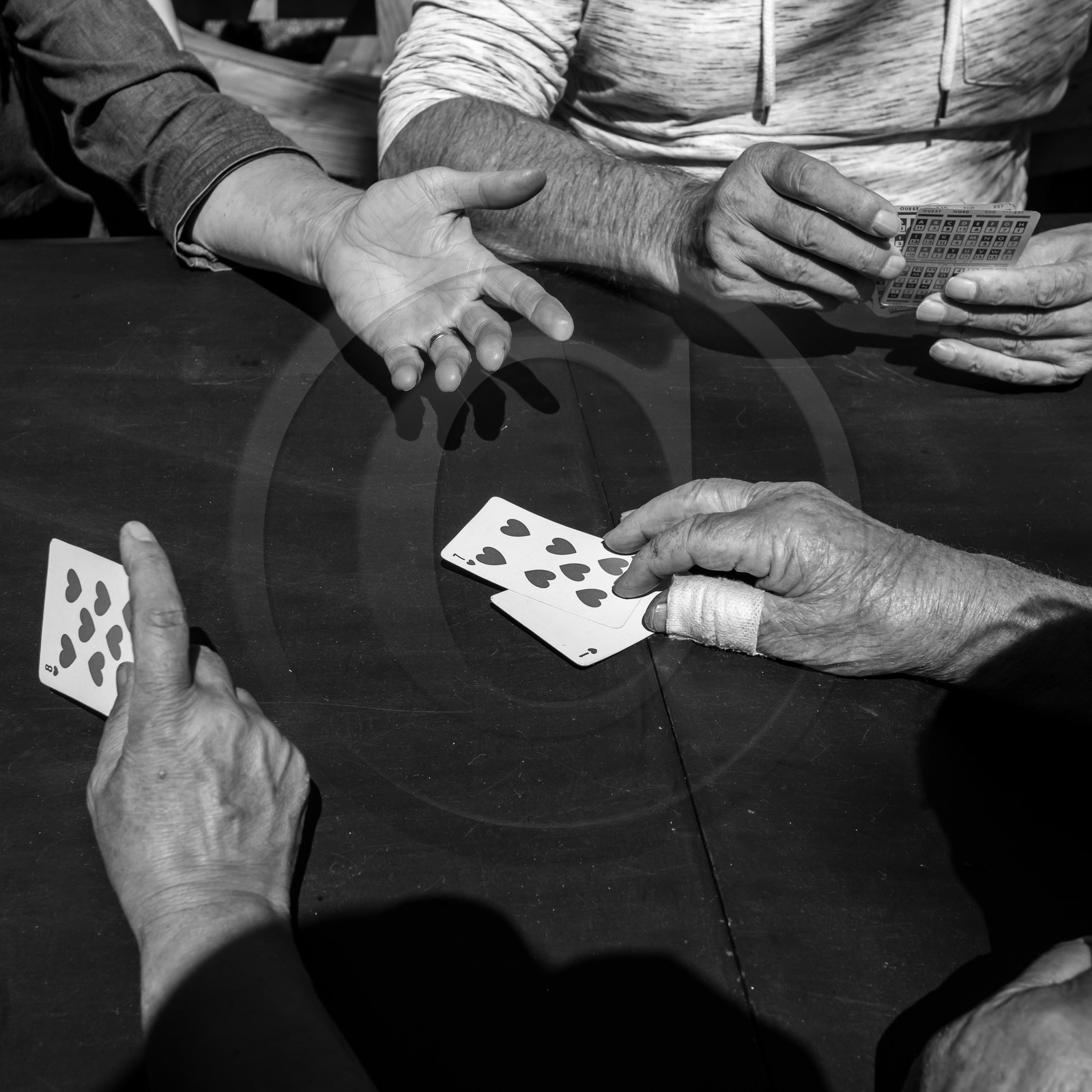 Activités au jardin Activités au jardin
