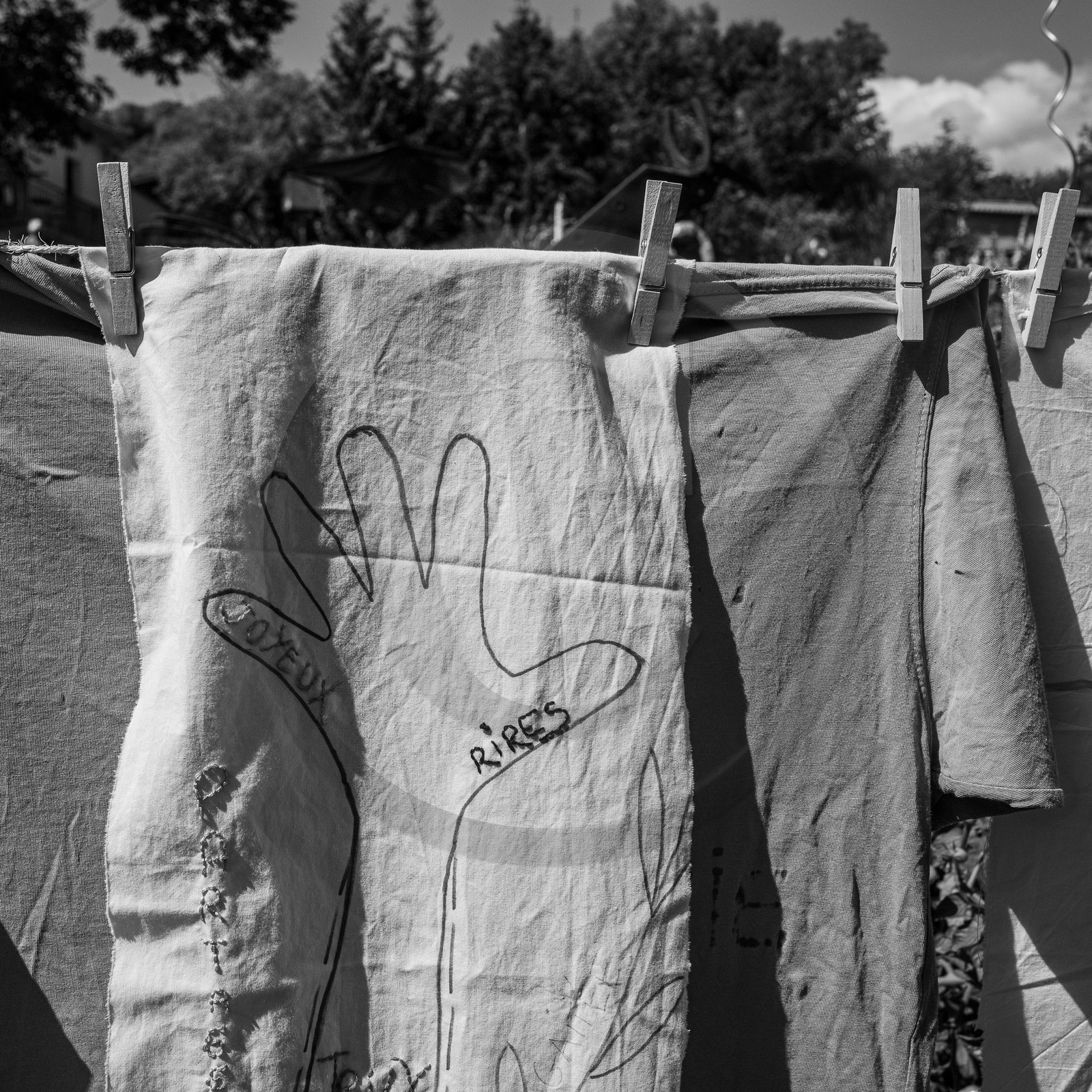 06 septembre 2023 : laine, couture et semis