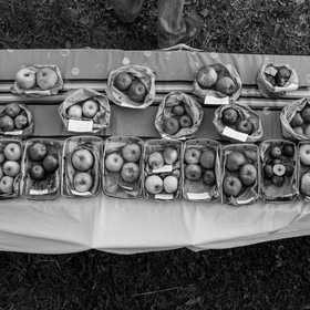 Ramène ta pomme