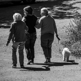 01 septembre 2021 : Promenade en cariole et contes