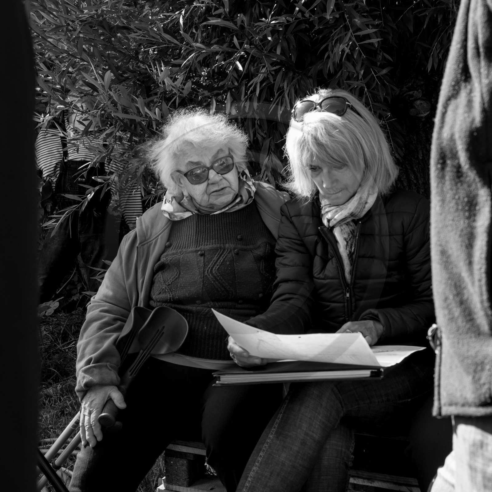 20 septembre 2017 - Jardinage 20 septembre 2017 - Jardinage