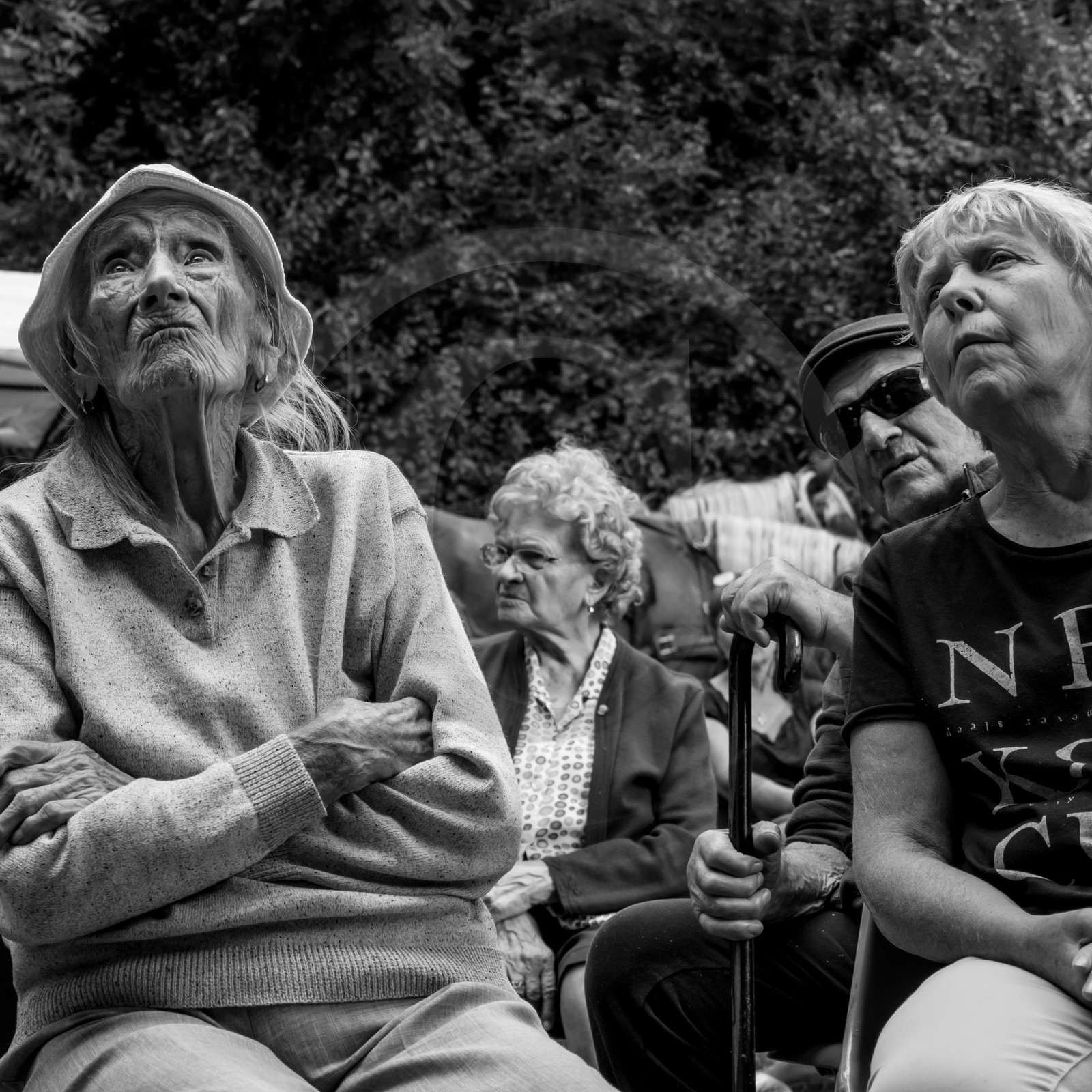 Promenade en calèche et contes