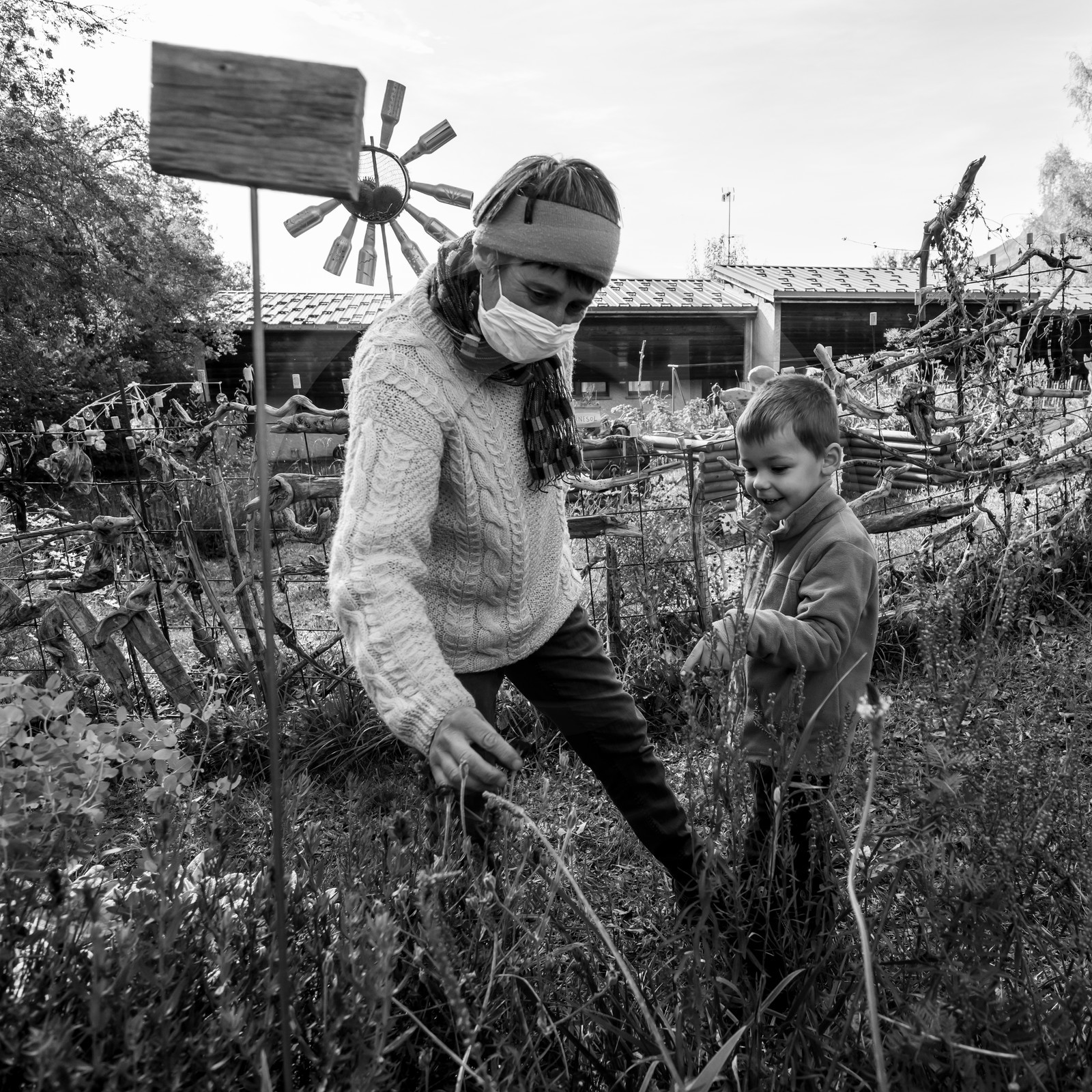 Semis, tournesols et jeux