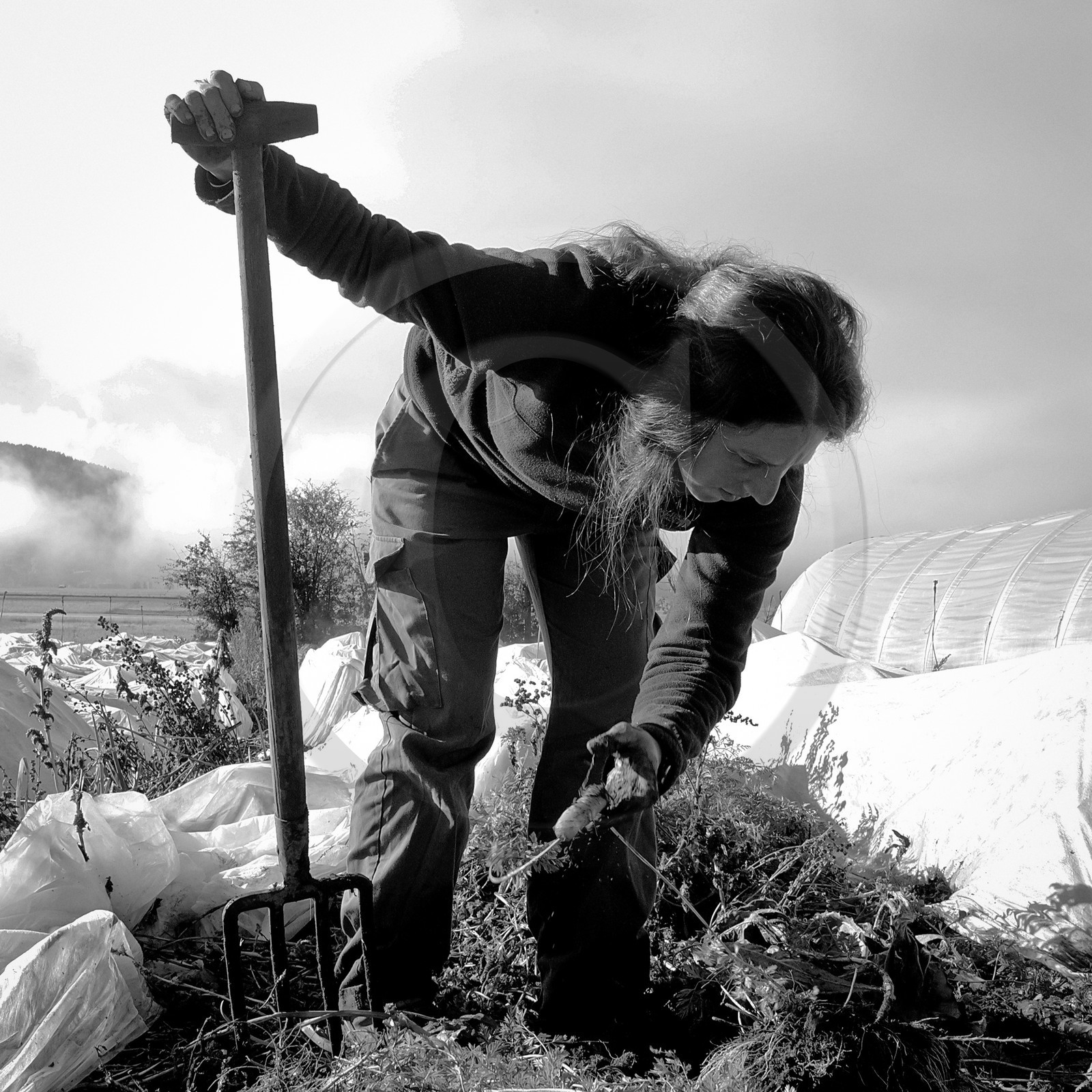 Sophie Jaussaud, maraichère à Ancelle