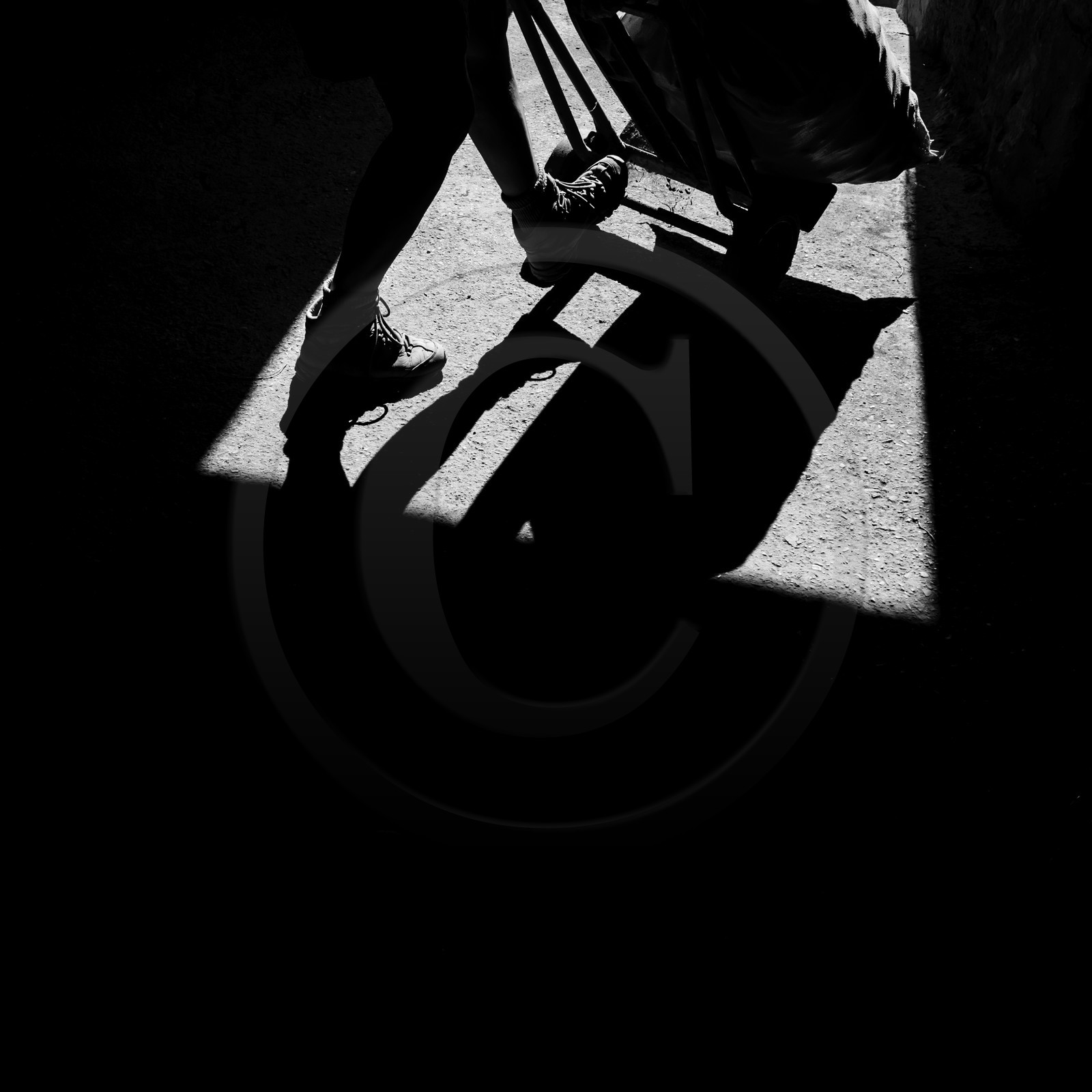 La récolte des pommes de terre