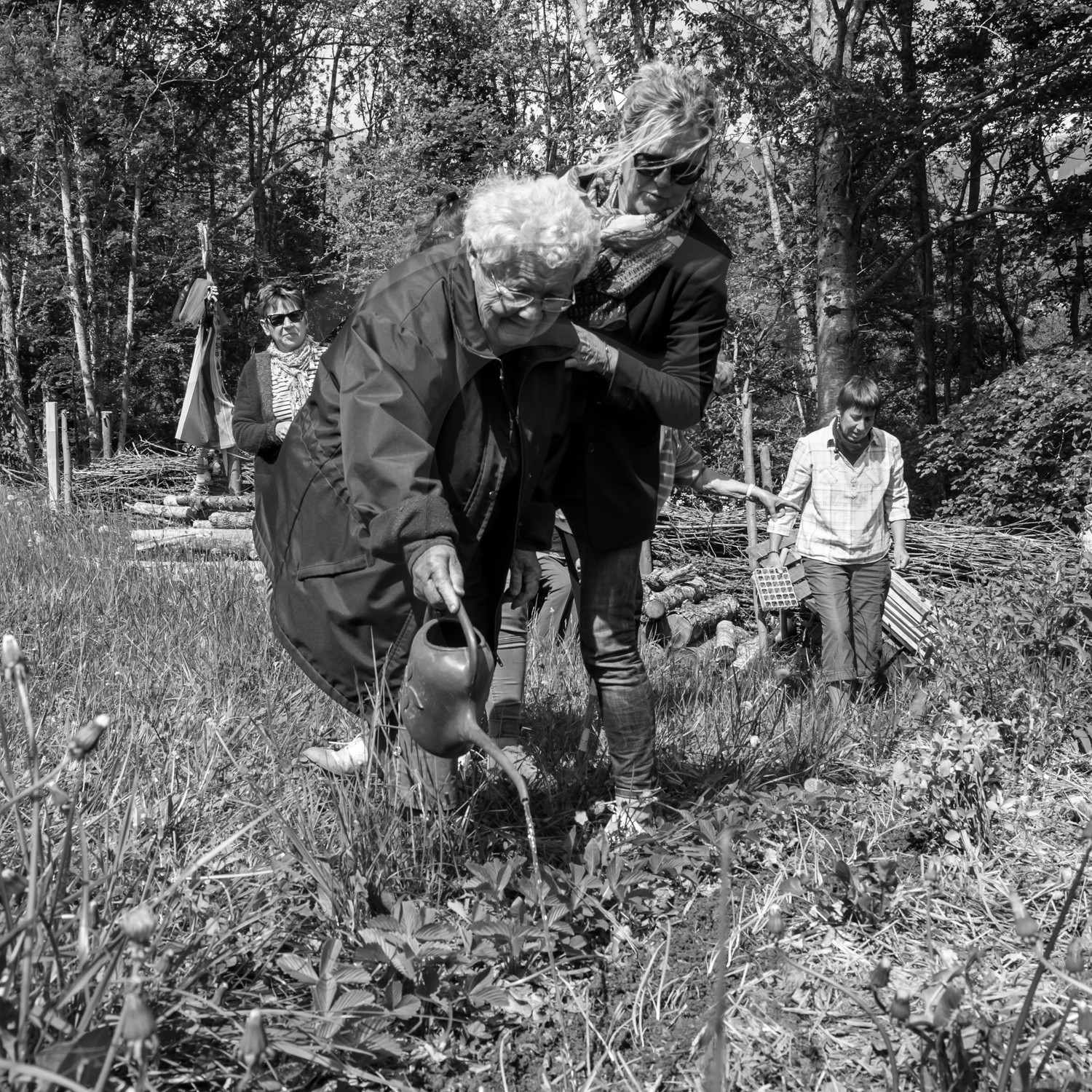 Semis et arrosages Semis et arrosages