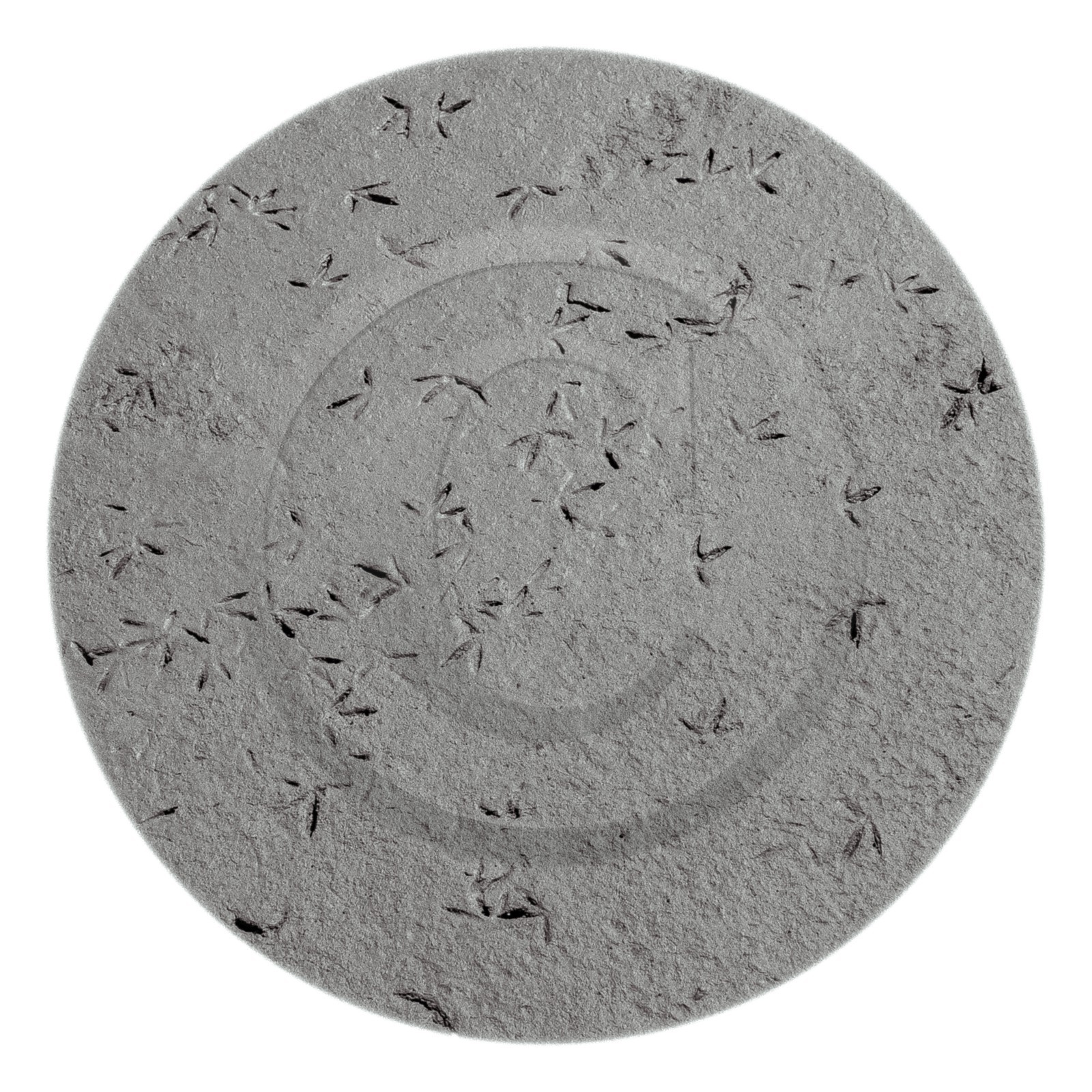 Les instants Camargue