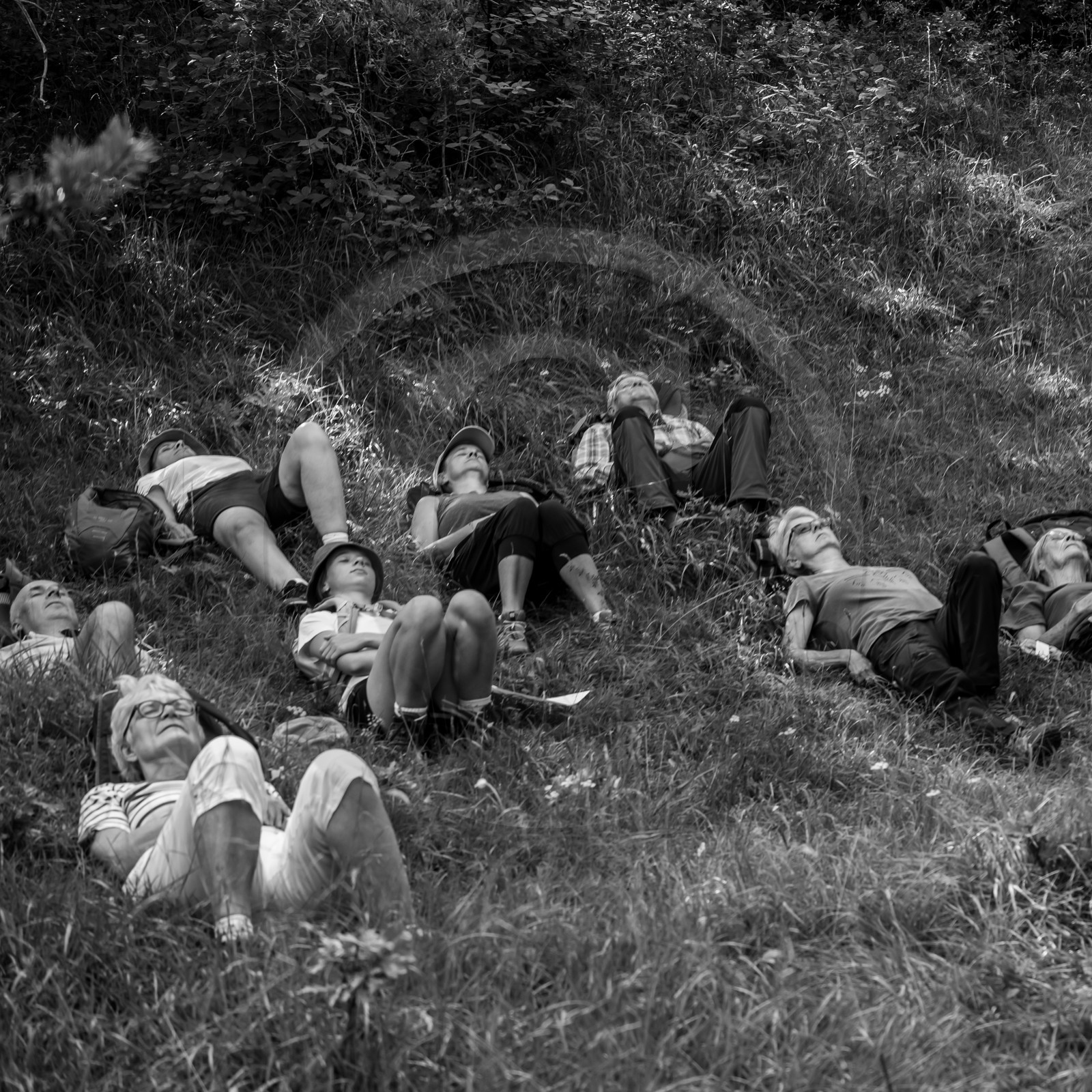 Arpenter le paysage avec Martin de la Soudière Arpenter le paysage avec Martin de la Soudière