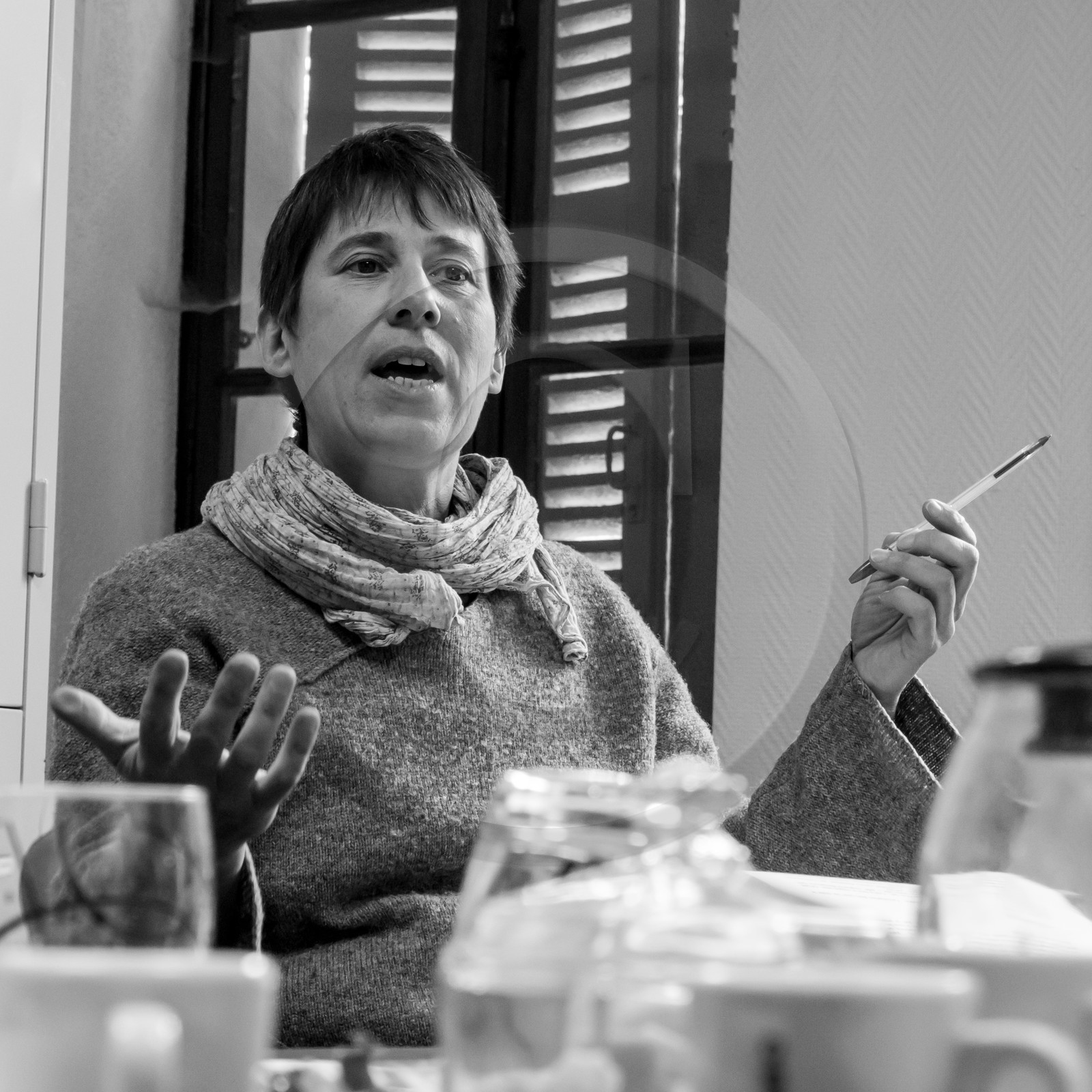 L'Ouort de Bénévent - 27 janvier 2017 L'Ouort de Bénévent - 27 janvier 2017