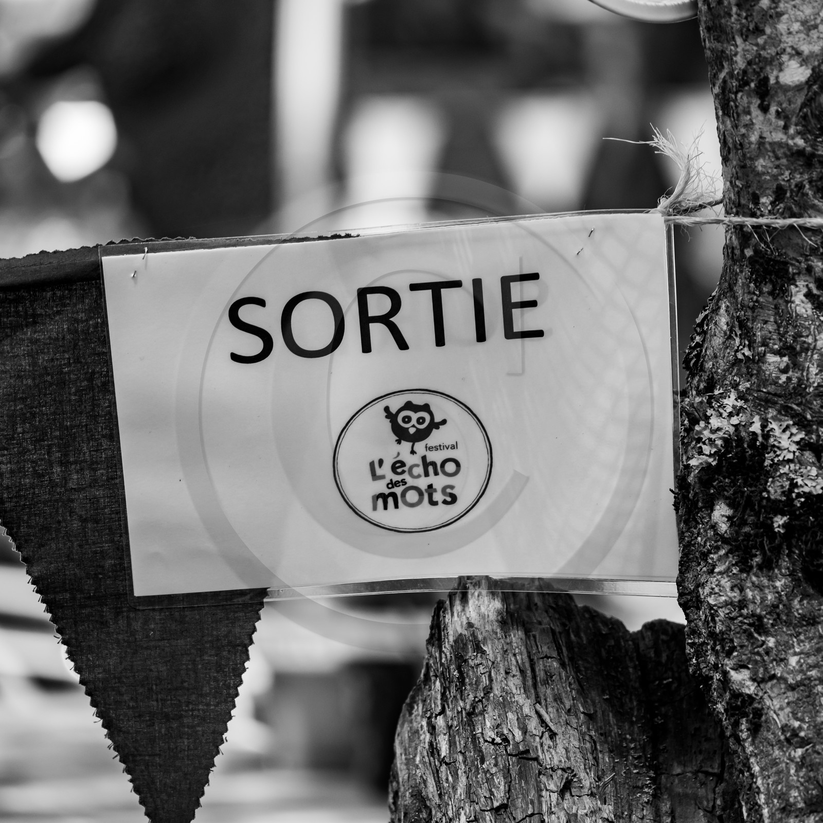 11, 12 et 13 août 2021 : L'Echo des Mots