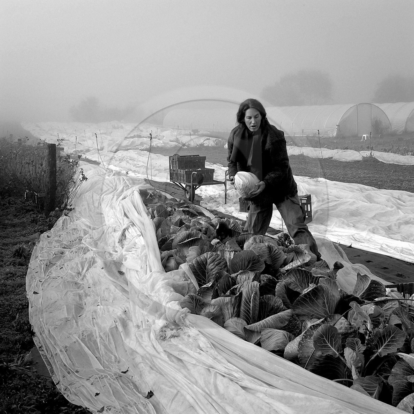Sophie Jaussaud, maraichère à Ancelle Sophie Jaussaud, maraichère à Ancelle