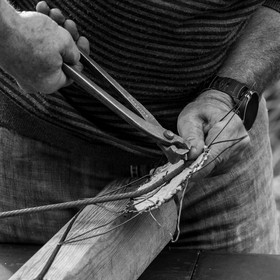 Semis, tournesols et jeux