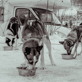 La Valgaude Traineau 2015