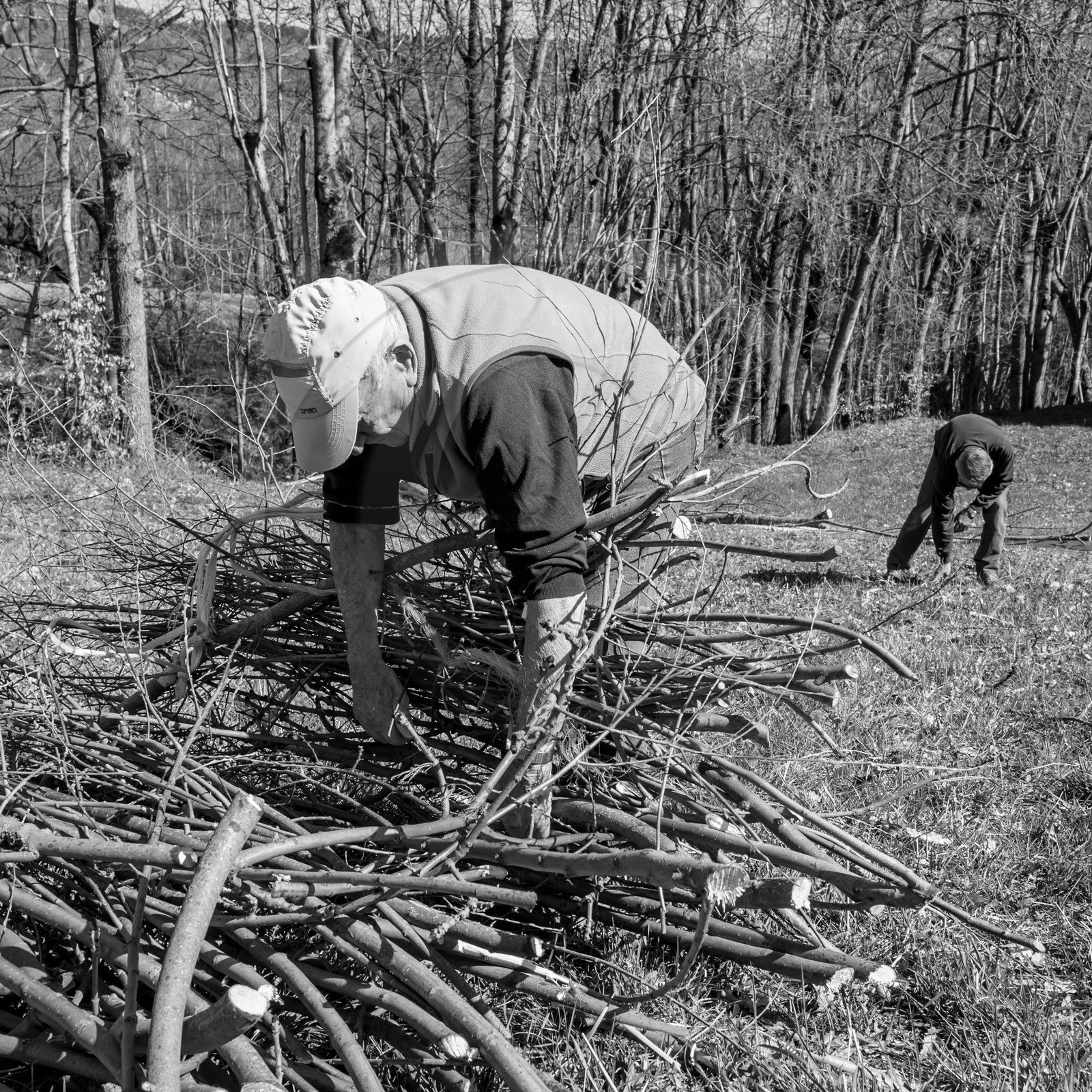 L'Ouort de Bénévent - 29 mars 2017