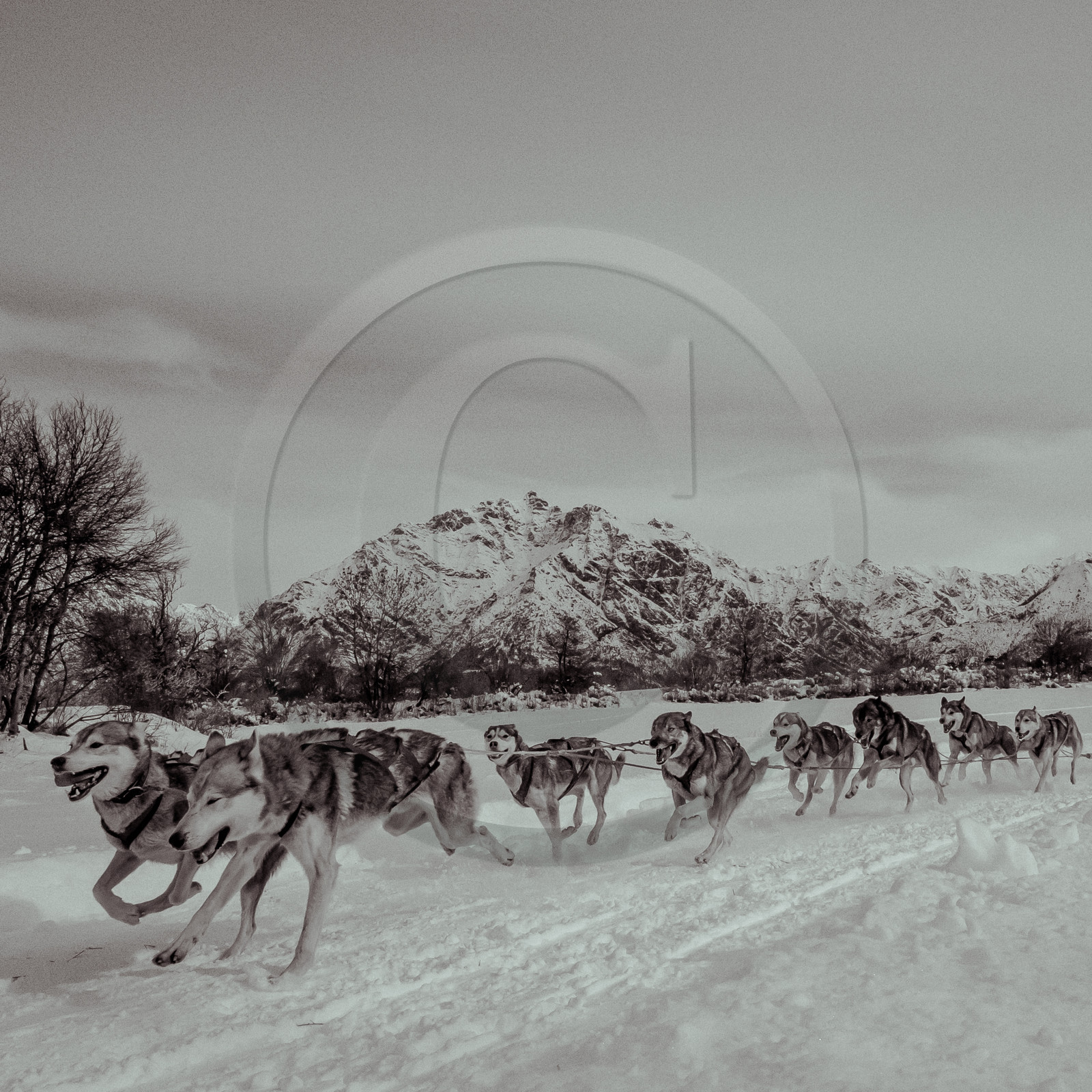 La Valgaude Traineau 2015