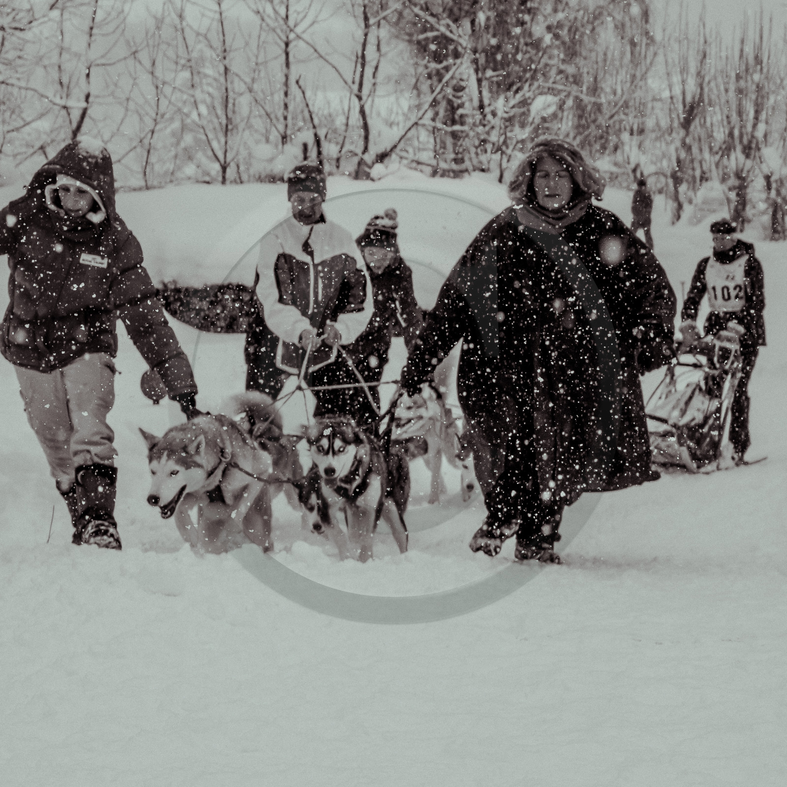 La Valgaude Traineau 2015