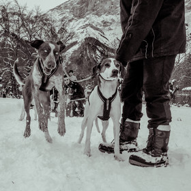 La Valgaude Traineau 2015