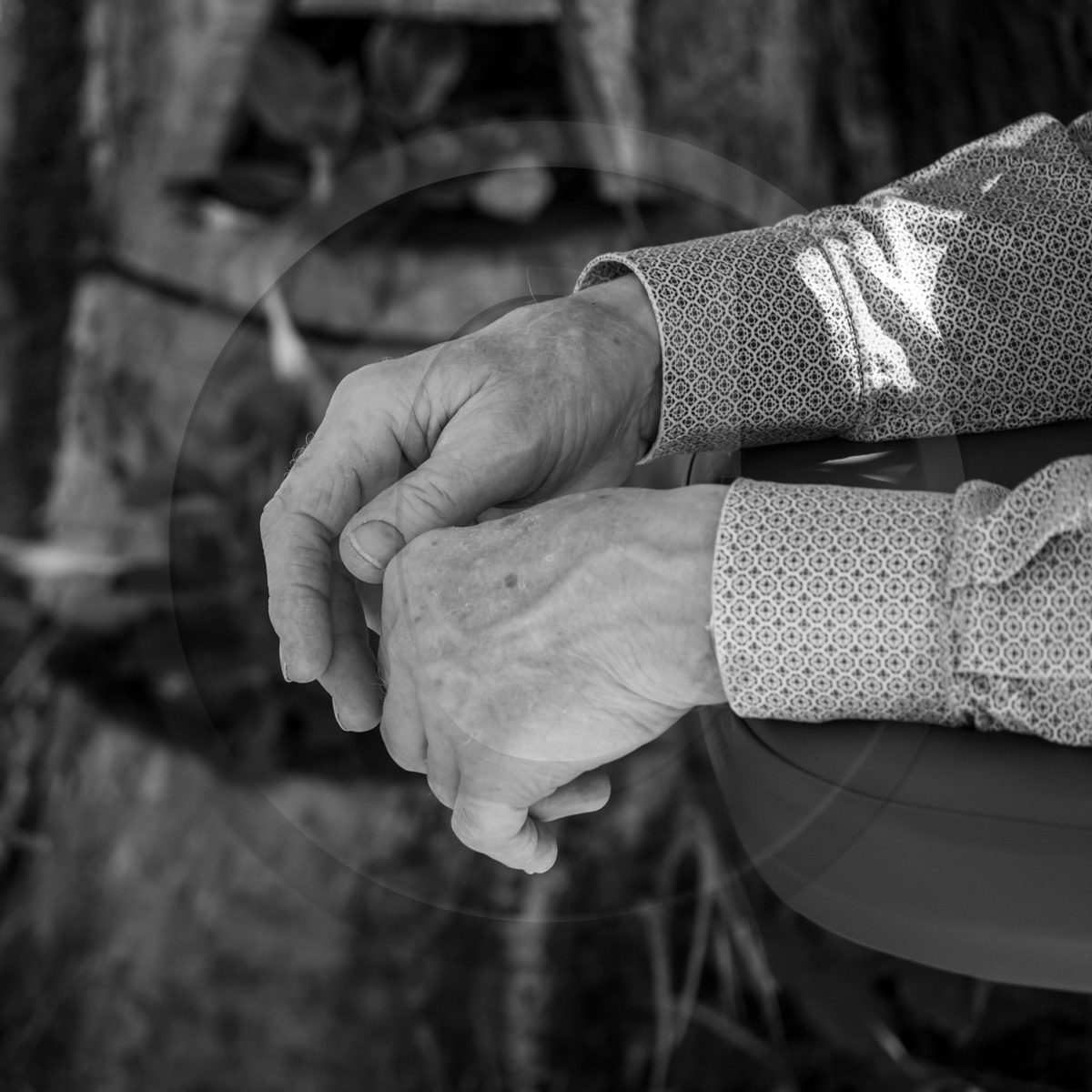 10 juin 2022 : 3ème journée des aidants 10 juin 2022 : 3ème journée des aidants