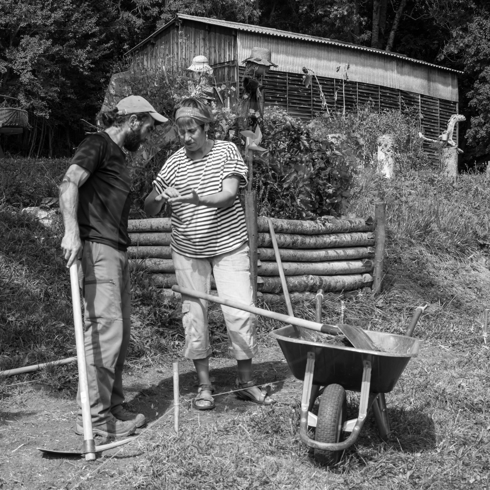 13 septembre 2017 - Chemins - Graines