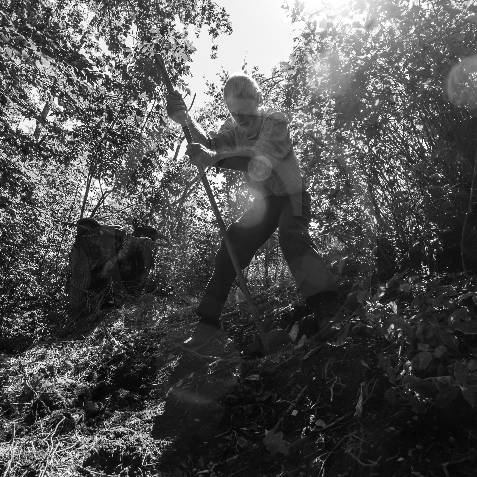 Activités au jardin